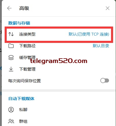 Telegram Desktop客户端查看连接类型